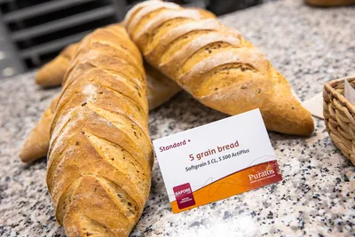 Софтгрейн 5 CL