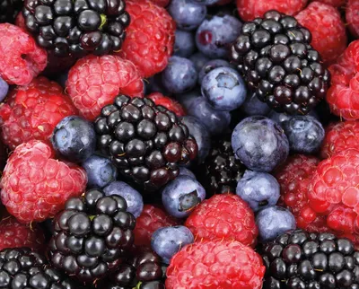 Джем Горски Плодове 40%