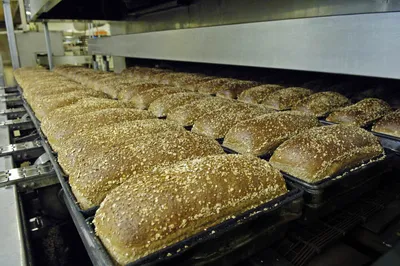 Пураликс 1000