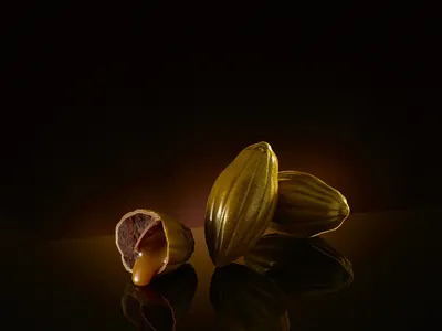 Чисто пресовано какаово масло Cacao-Trace